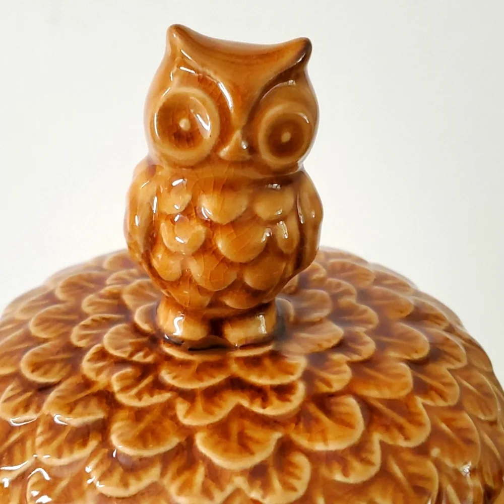 Pier 1 Imports Owl Cookie Jar